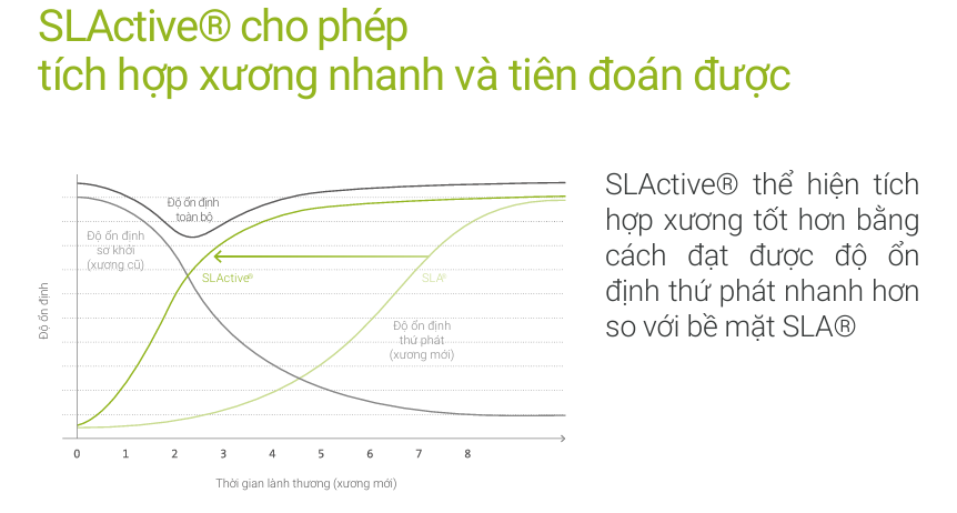 SLActive® cho phép tích hợp xương nhanh và tiên đoán được